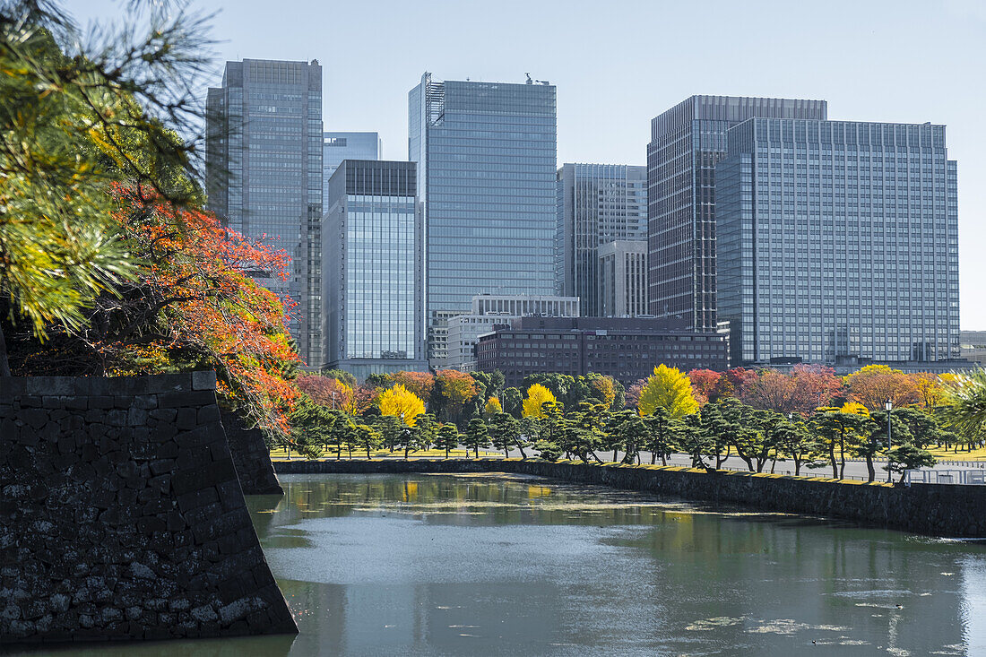 Tokyo skyscrapers reflected in the imperial palace moat with many autumn colored trees, Tokyo, Honshu, Japan, Asia