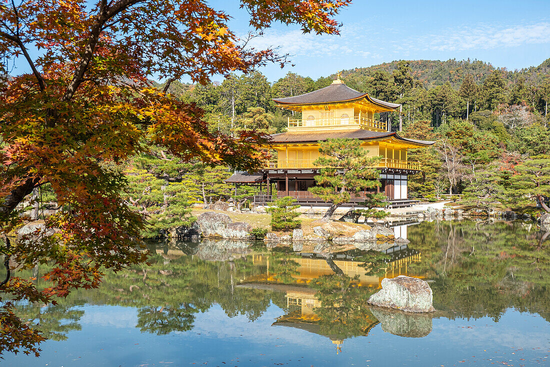 Kinkaku-ji-Tempel mit goldenem Pavillon, der sich im Herbst in einem Teich spiegelt, UNESCO-Weltkulturerbe, Kyoto, Honshu, Japan, Asien
