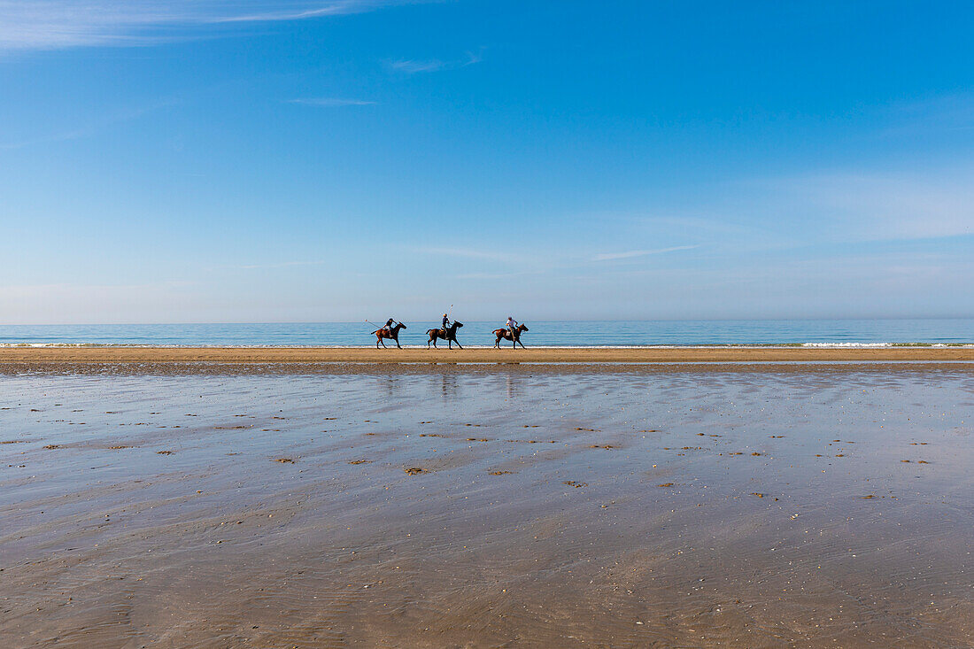 Reitende Pferde am Strand von Deauville, Deauville, Normandie, Frankreich, Europa