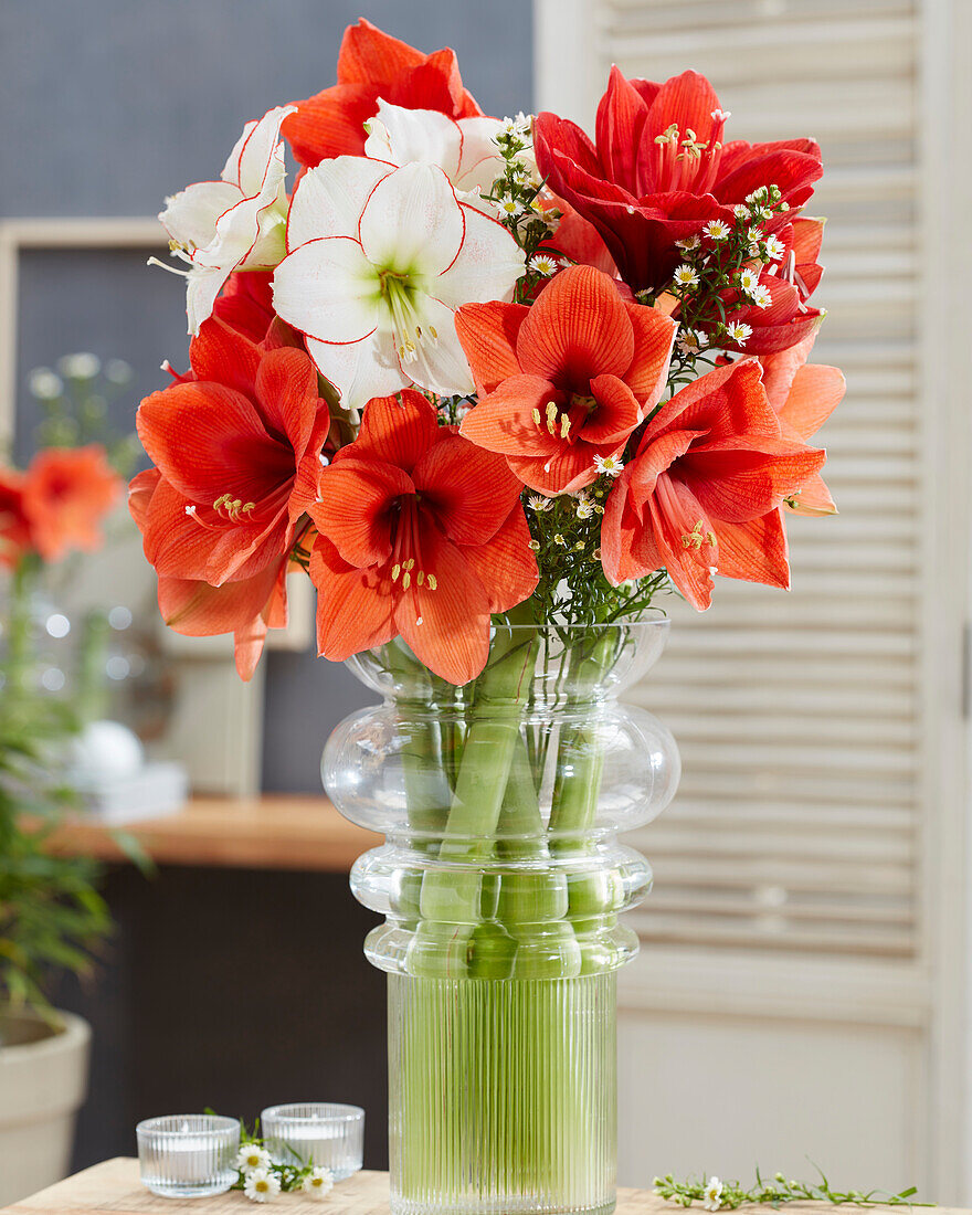 Mixed amaryllis bouquet