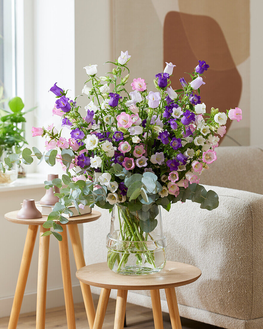 Mixed Campanula medium Champion bouquet