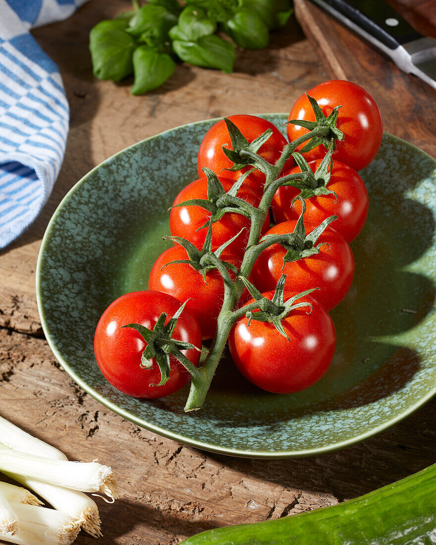 Tomate, Solanum lycopersicum Tasty Tom