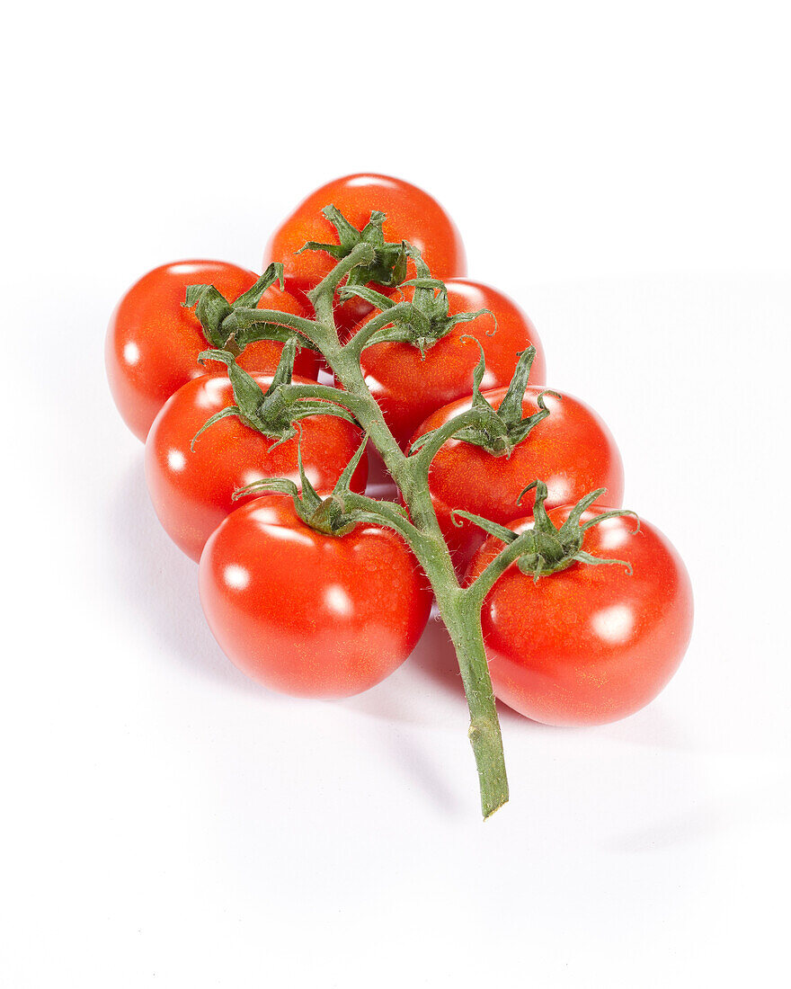 Tomate, Solanum lycopersicum Tasty Tom