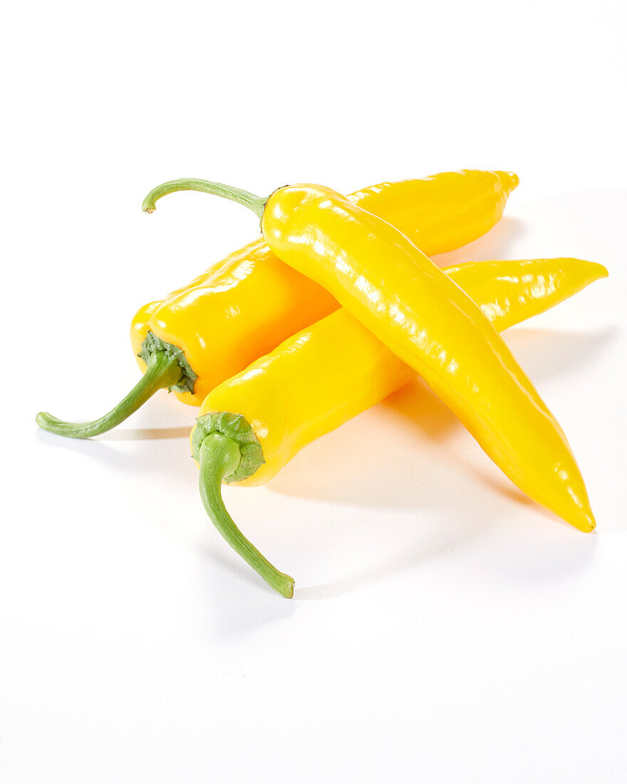 Yellow sweet peppers, Capsicum annuum