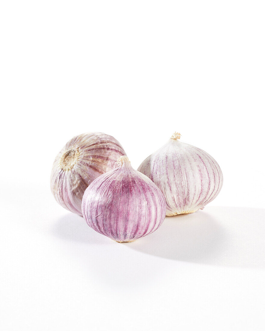 Solo garlic, Allium sativum