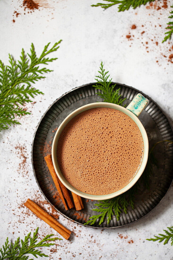 A mug of hot chocolate drink made with cocoa powder and presented with cinnamon sticks.