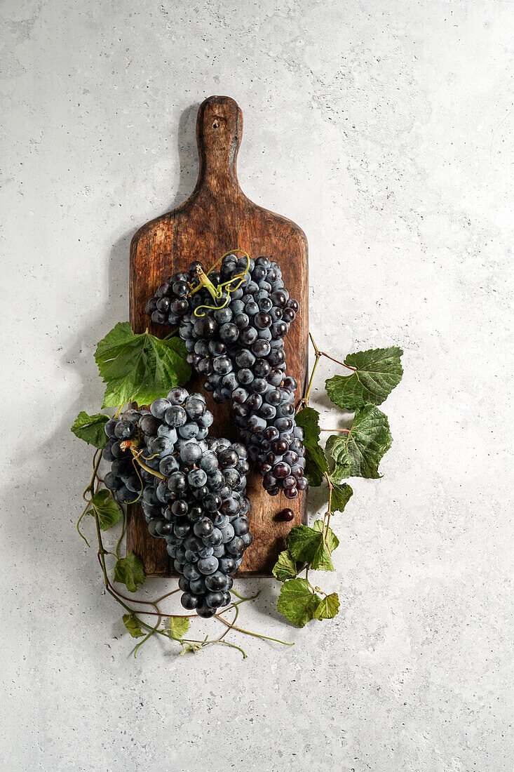 Reife Trauben, Weinherstellung, auf einem Tisch mit Keramikfliesen, mediterran, Konzept des Herbstes, Weinberge