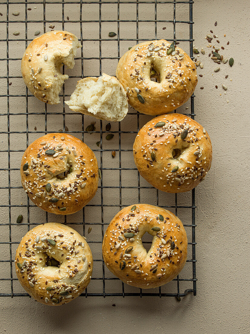 Frisch gebackene Bagels auf einem Drahtgestell