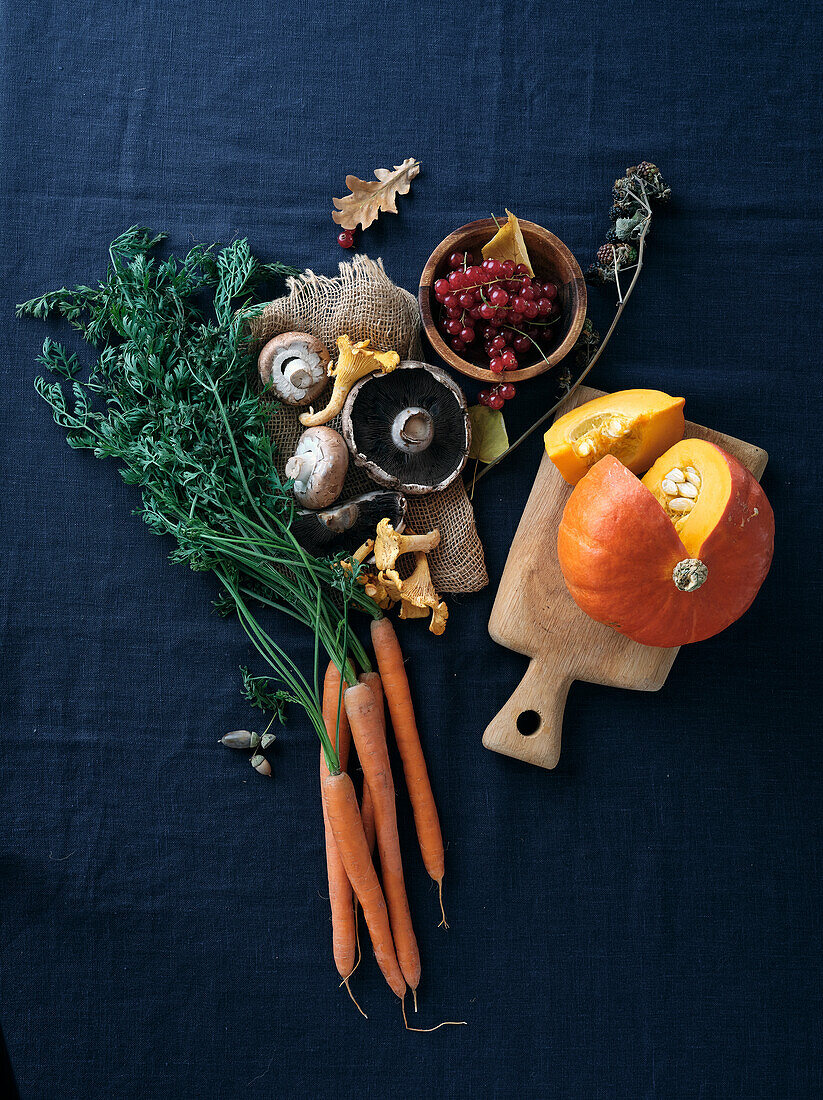 Fall food ingredients on dark blue background. Flat-lay of autumn vegetables, berries and mushrooms from local market. Vegan ingredients