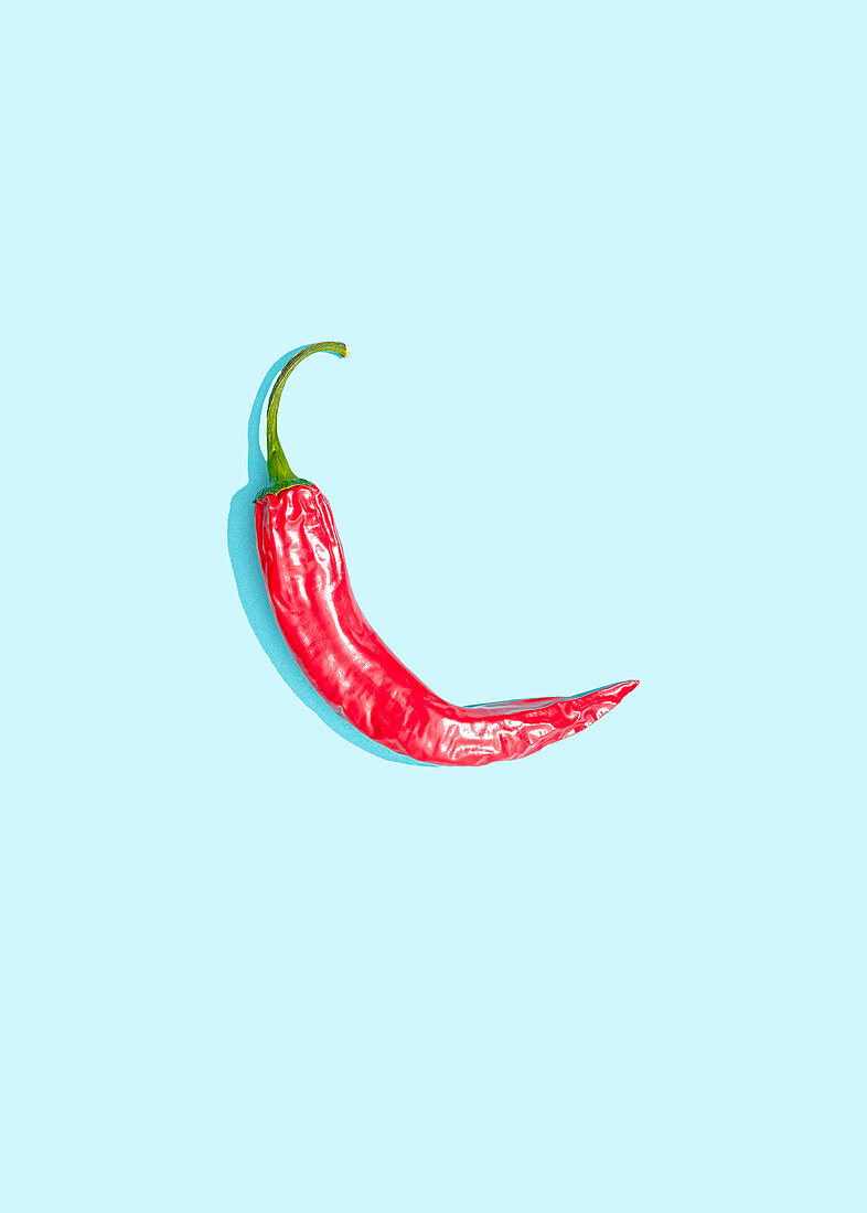 Single chilli pepper on blue background