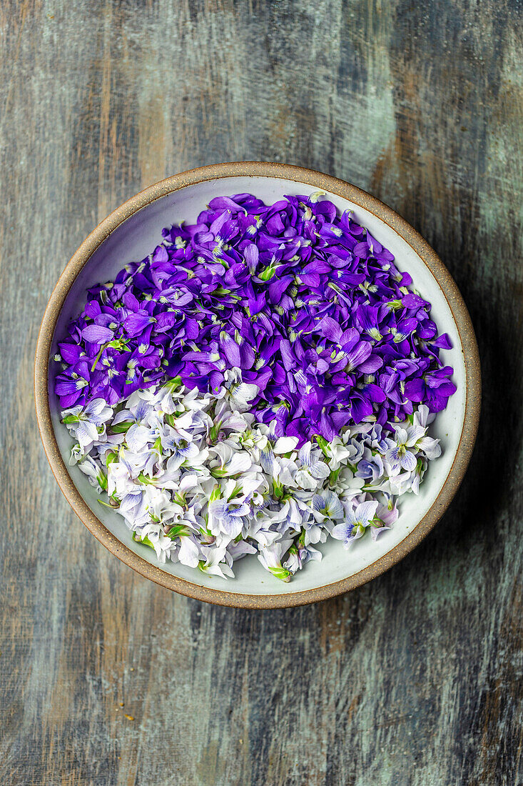 Violets, purple and white in a bowl