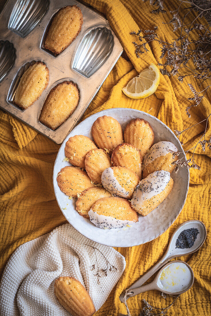 Zitronen-Madeleines mit Mohn vor gelbem Hintergrund