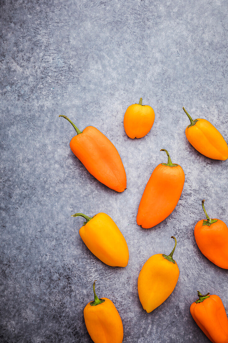 Süße kleine orangefarbene und gelbe Paprikaschoten auf grauem Hintergrund