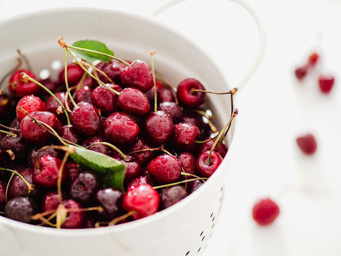 Fresh ripe cherries in a white stainless steel sieve. Close-up of a moist red cherry against a white forest background. Shallow DOF. Cherries aesthetic. Copy space