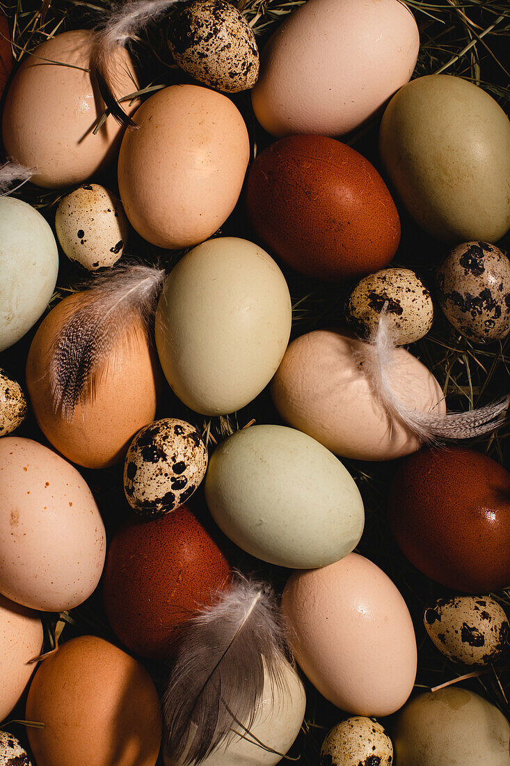 Multi-coloured Easter eggs in a display