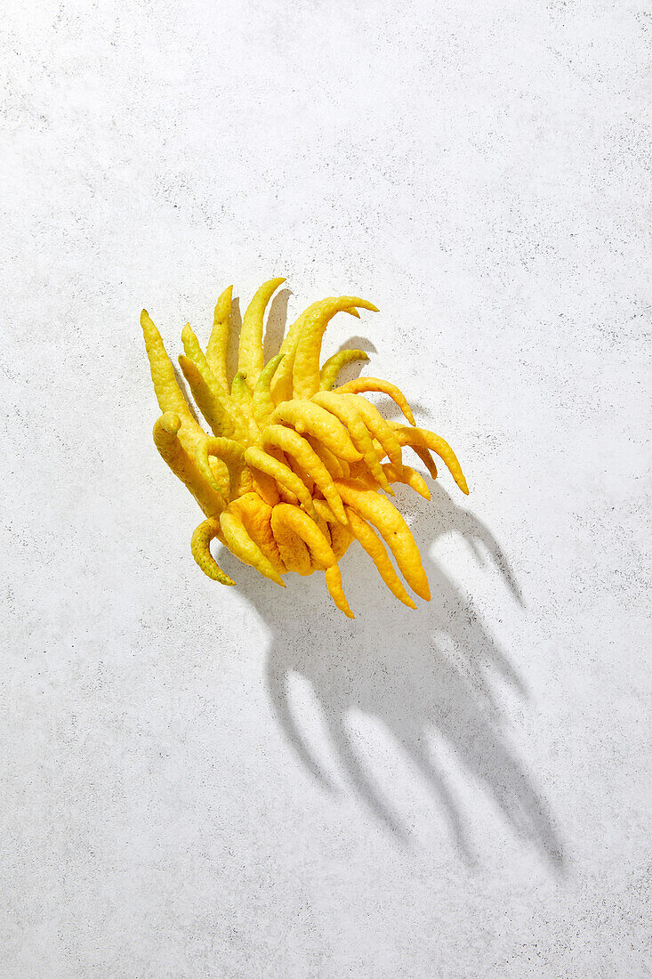 Buddha's hand lemon on white background with hard shadow