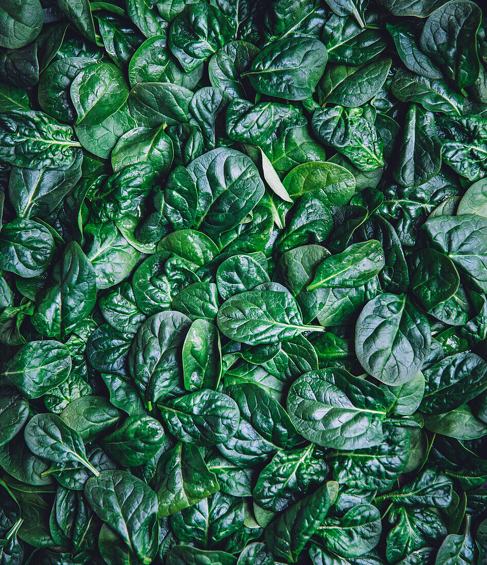 Spinach leaves laid out as a background