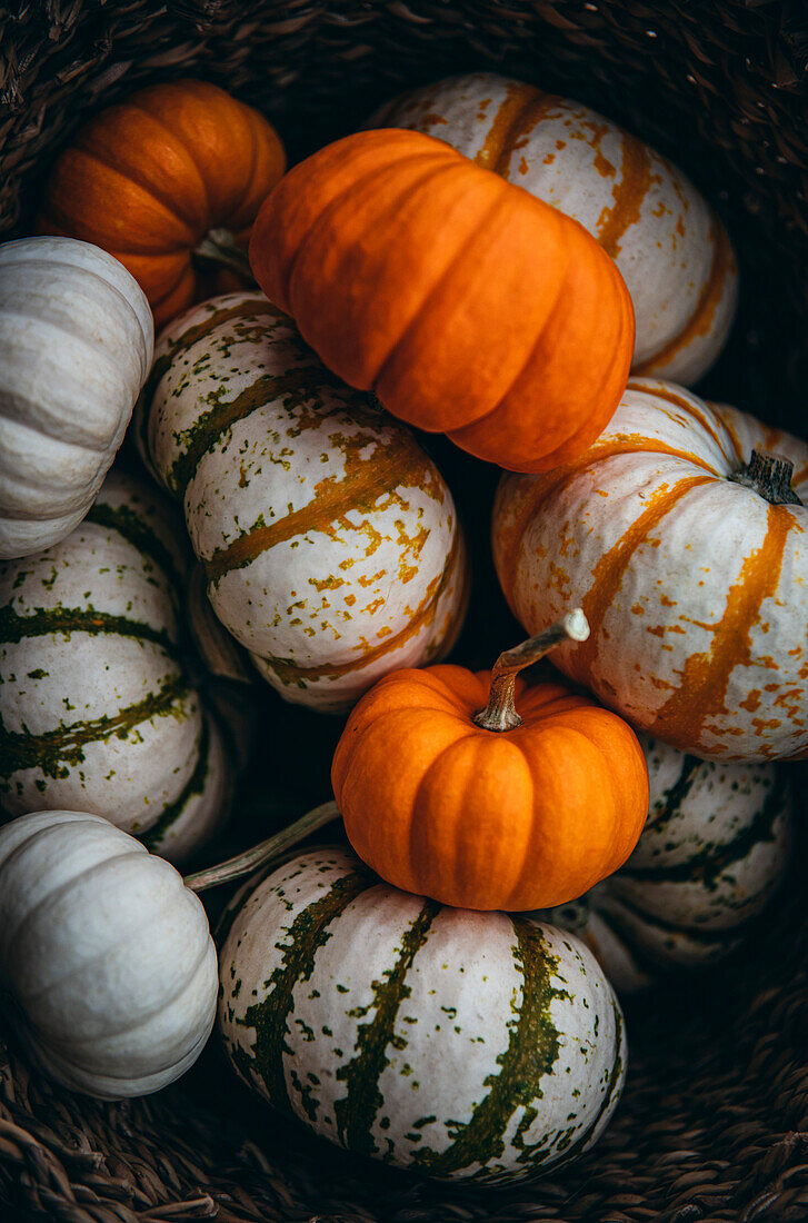 Weiße und orangefarbene Kürbisse in einem Korb