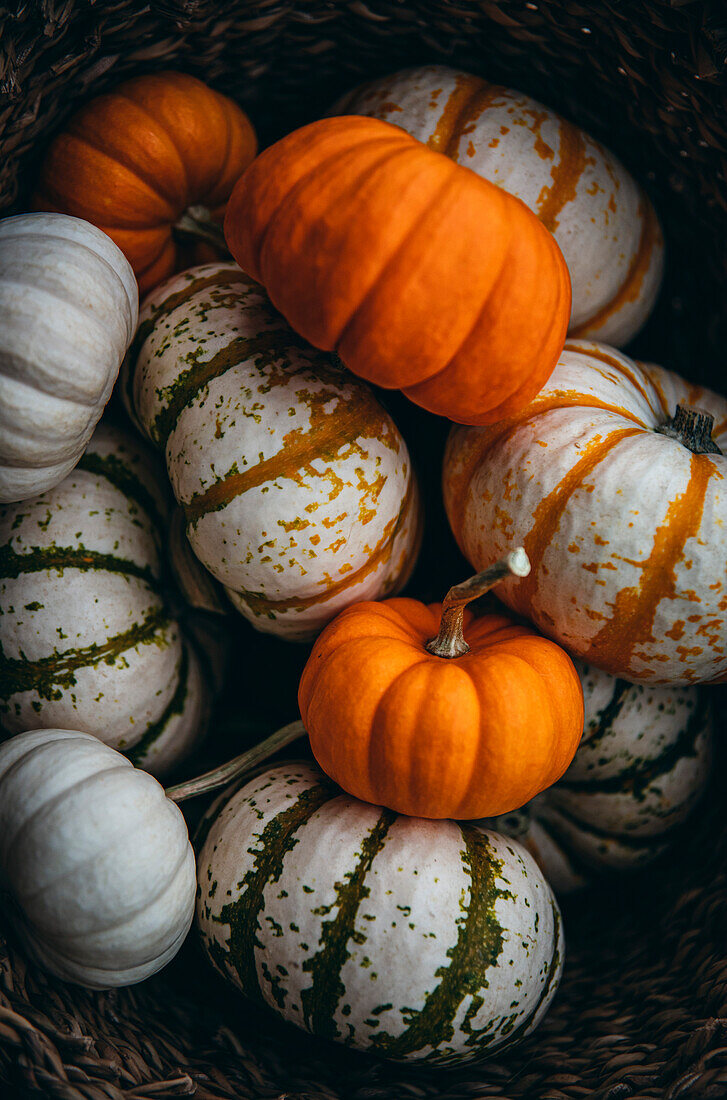 White and orange pumpkins in a basket