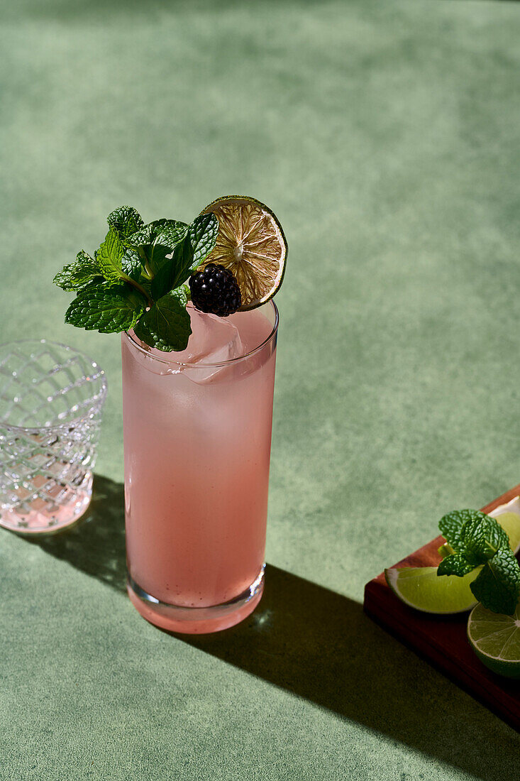 Drinks photo of a blackberry mojito, garnished with fresh mint, a blackberry and a slice of dried lime