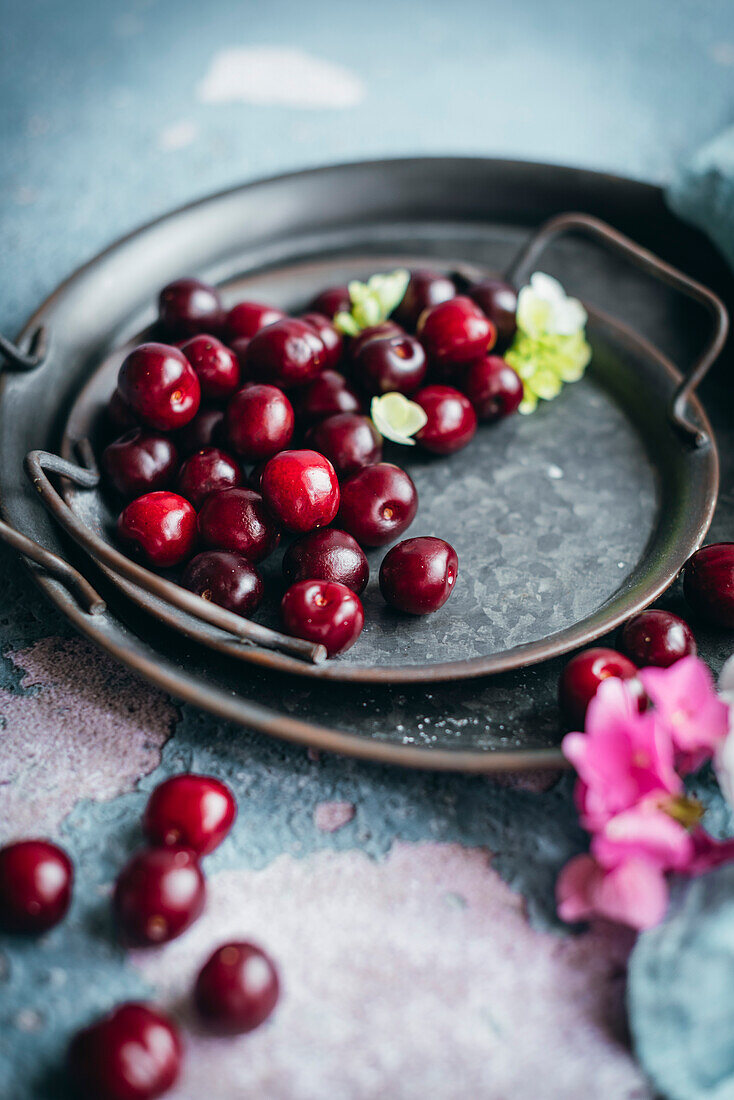 Ripe cherries on a silver plate on a blue background