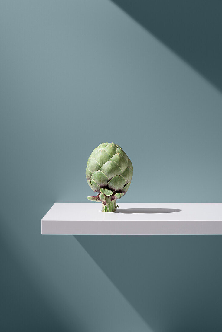 Fresh green artichoke on a white plate against a blue background in the studio under a bright beam of light