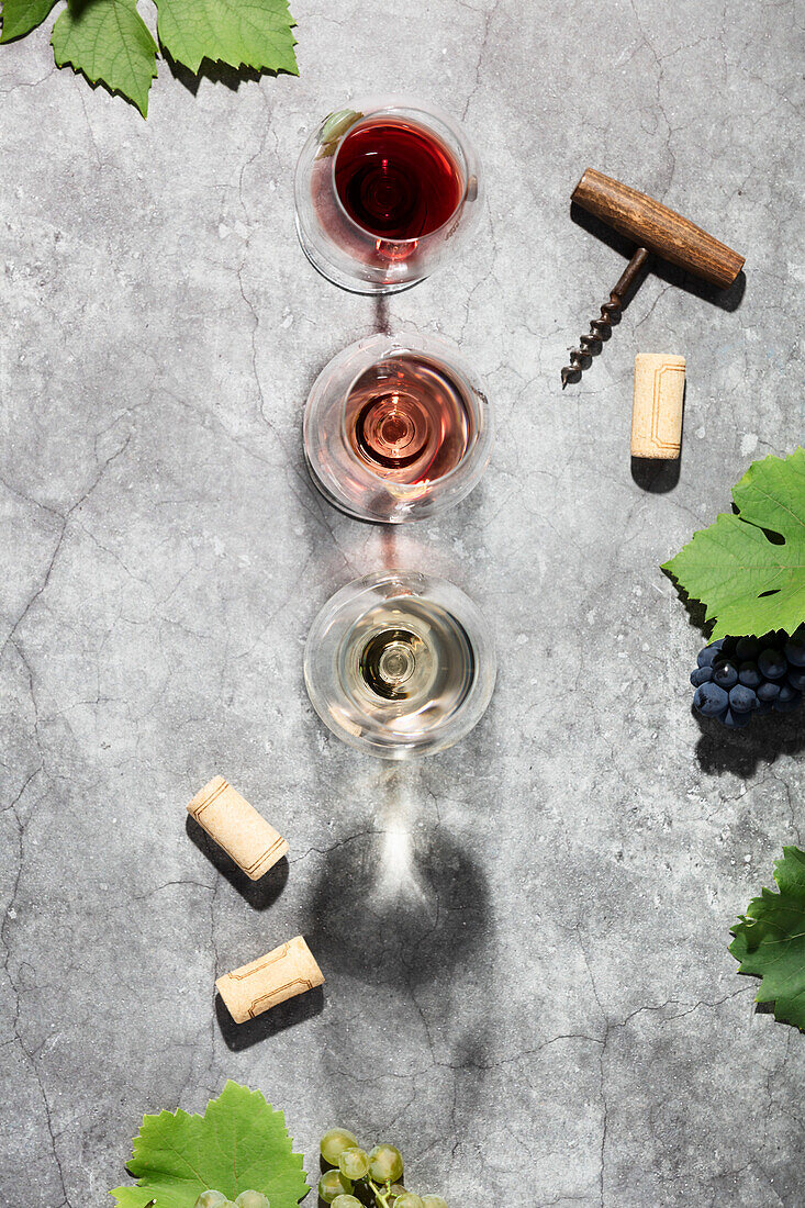 Wine composition with beautiful sunlight and shadows on a grey background. Top view, laid flat. Wine bar, winery, wine tasting concept. Minimalistic trendy photography