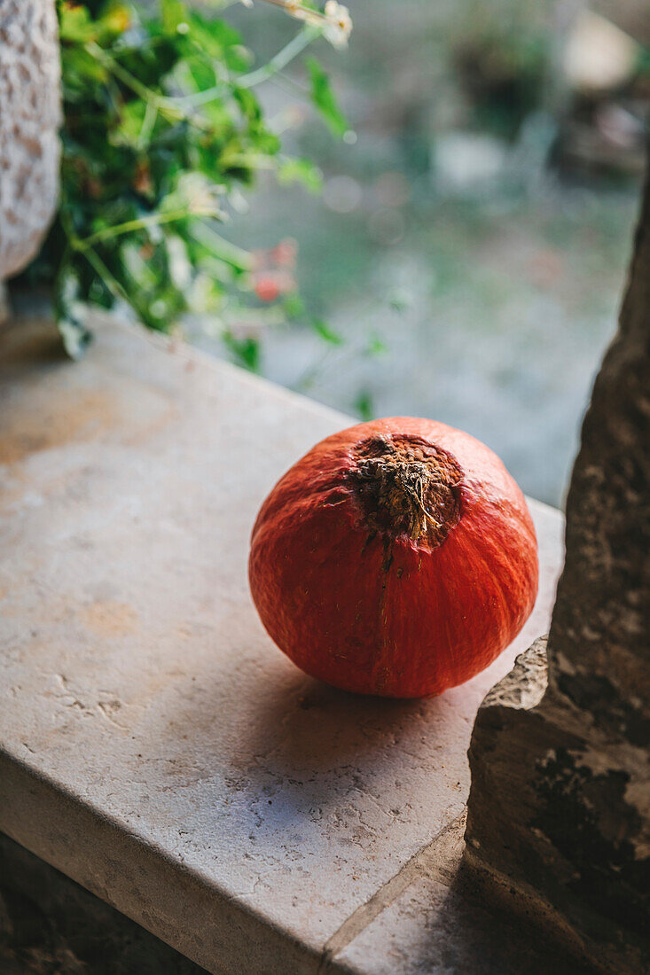 Pumpkin outside on the stone slab