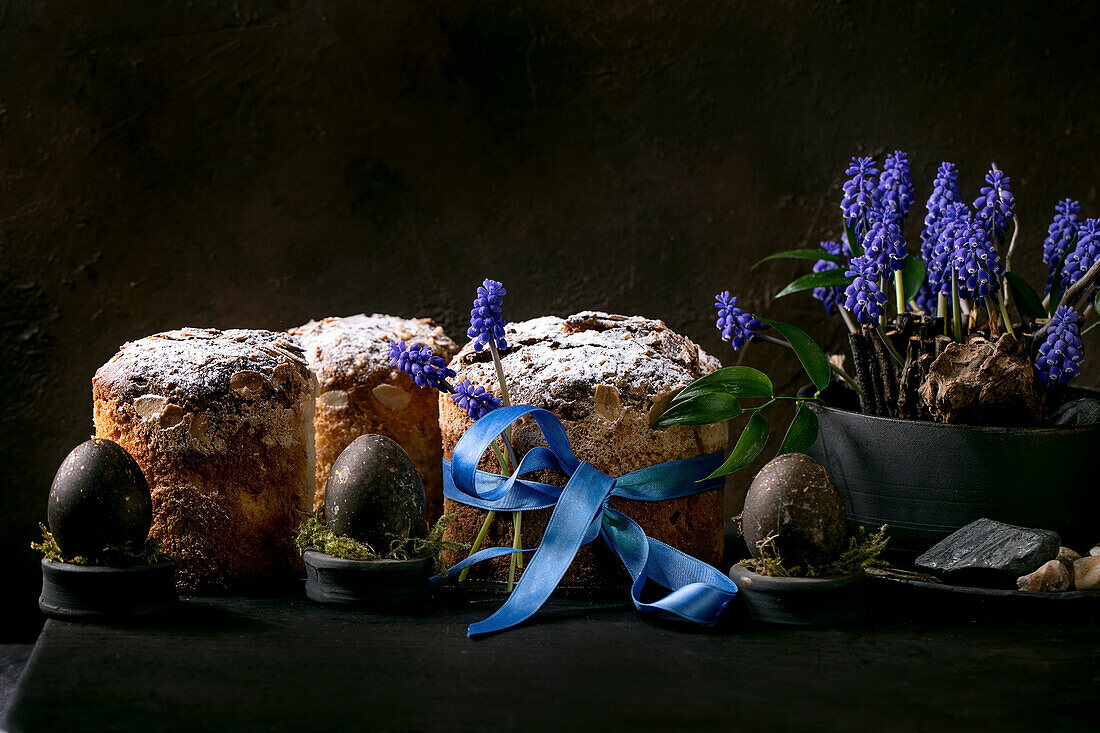 Homemade traditional Easter panettone cakes different size in row with colored black eggs, blossoming muscari flowers on black wooden table. Traditional Easter Italian bake, copy space