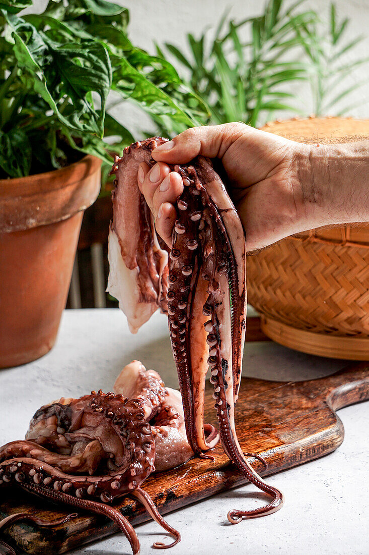 Fresh octopus, in male hands, bamboo steamer, Asian style