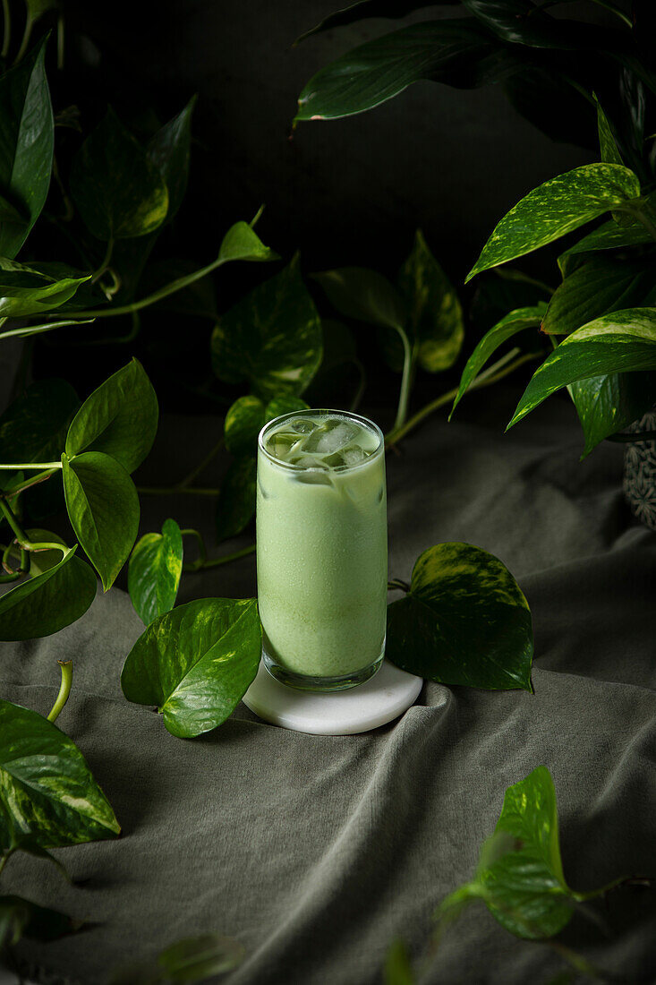 A healthy iced matcha with houseplants