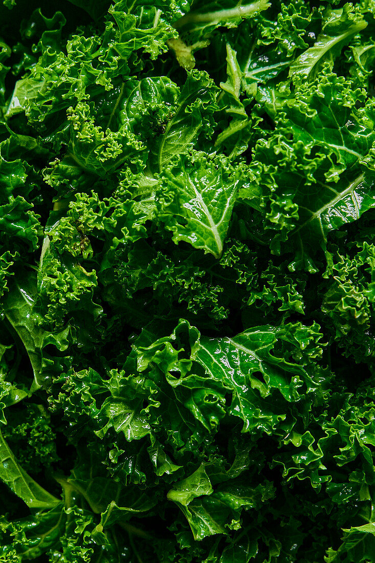Fresh ripe kale close up