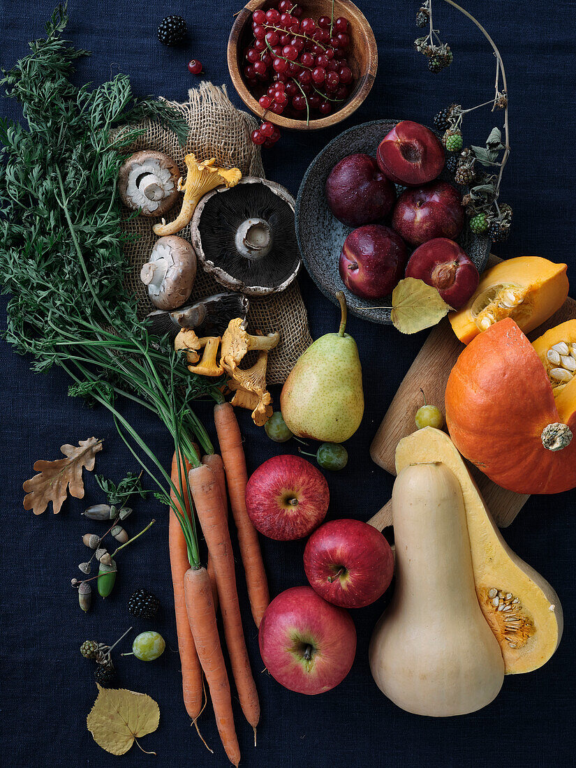Herbstliche Lebensmittelzutaten auf dunkelblauem Hintergrund. Flache Platte mit Herbstgemüse, Beeren und Pilzen vom örtlichen Markt. Vegane Zutaten