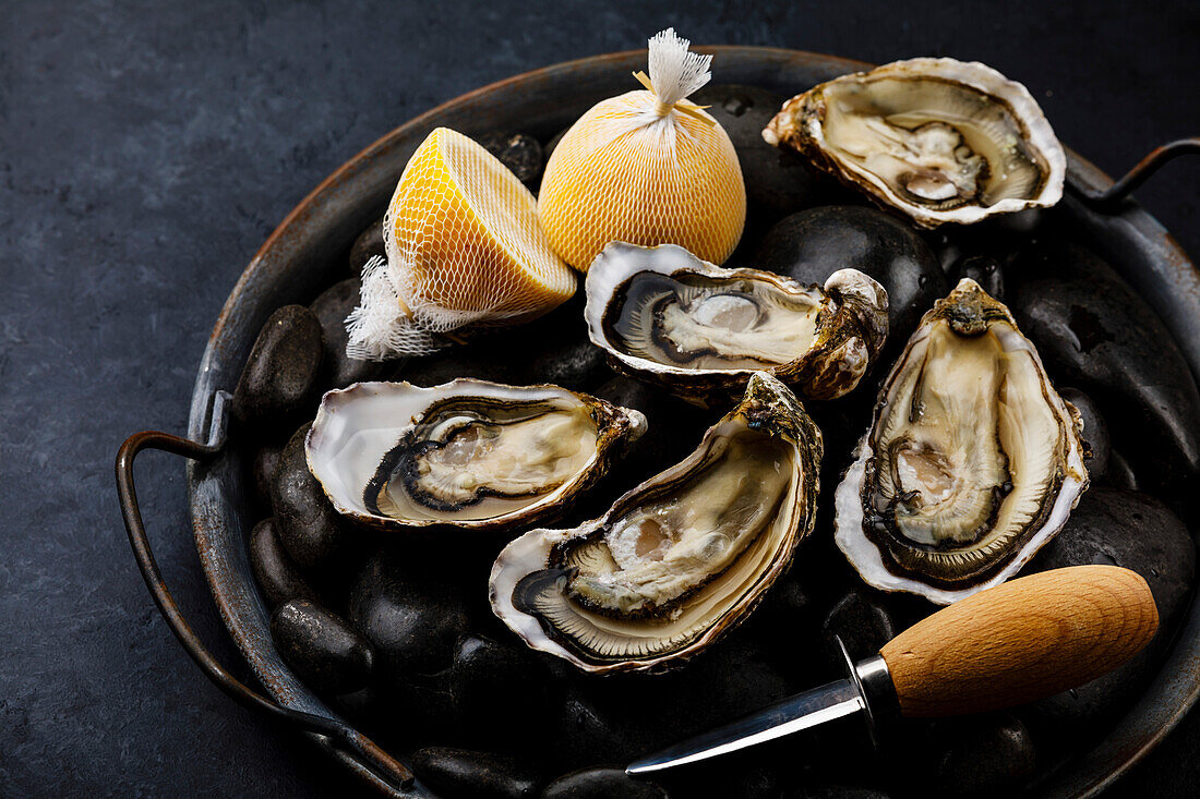 Fresh Oysters with lemon and knife on stones on dark background