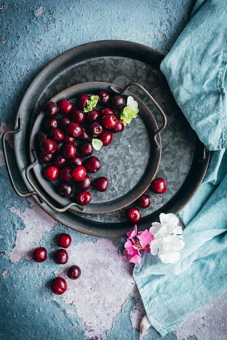 Ripe cherries on a silver plate on a blue background