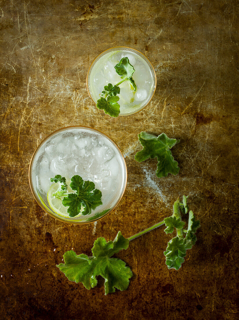 Drink with lemon and geranium leaf.jpg
