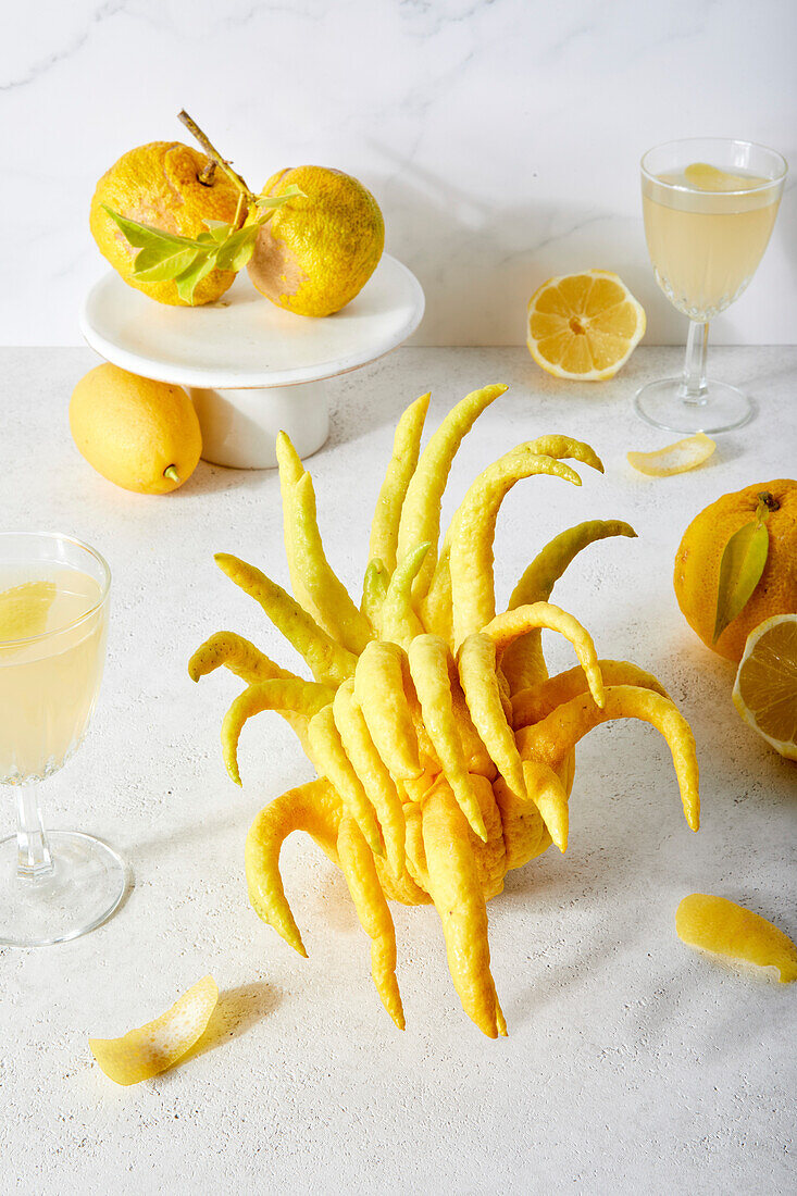 Tablescape with Buddha's Hand Citron, Yuzu, Lemons and Citrus Drinks on a White Background