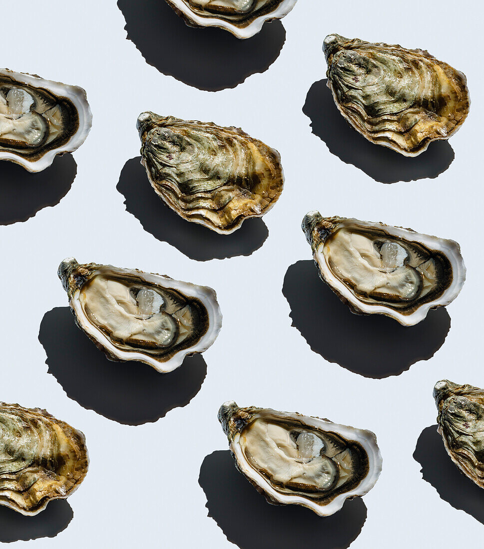 Open oyster Fin de Claire on grey background pattern
