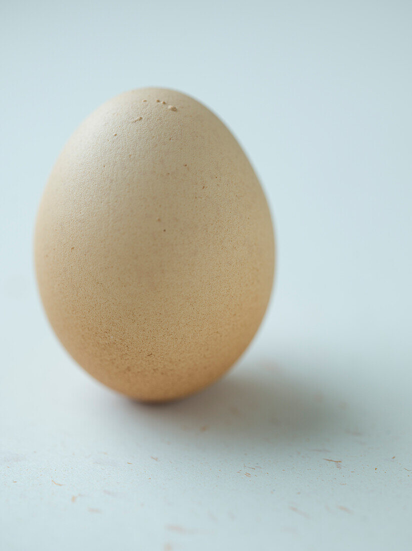 A whole egg on white