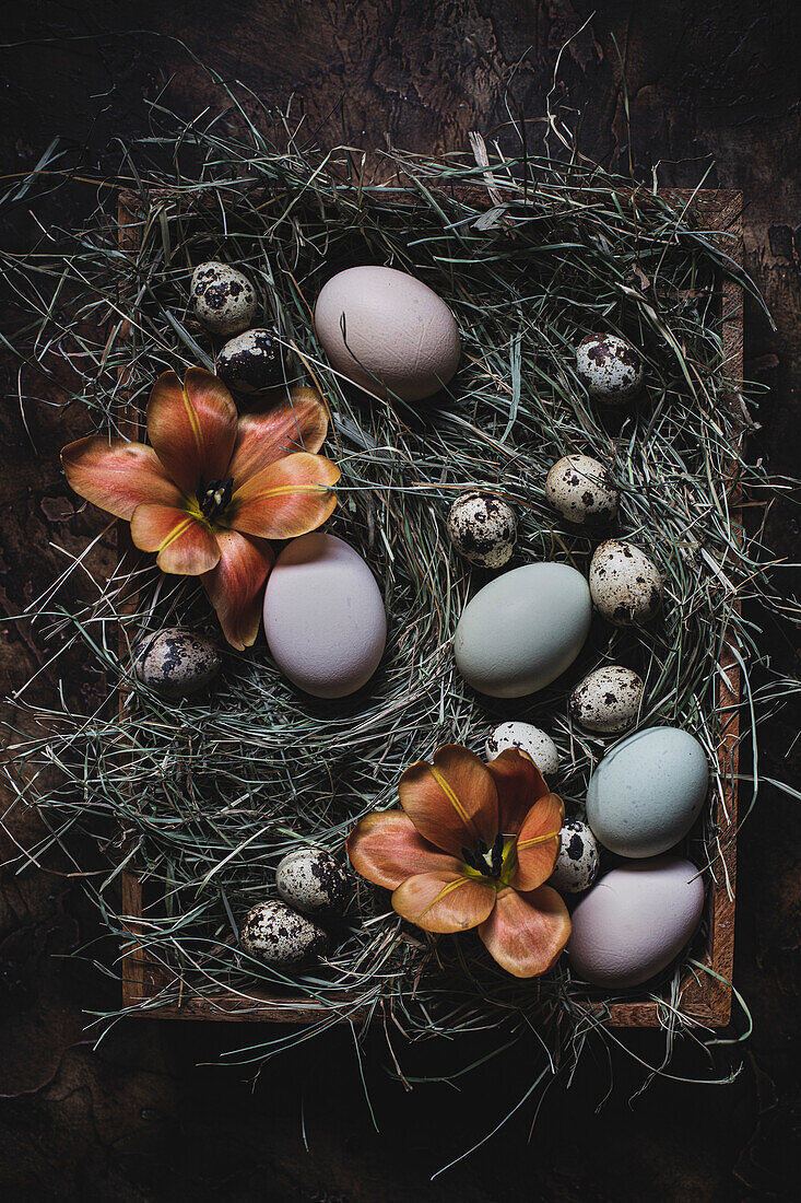 Multicoloured Easter eggs in a display