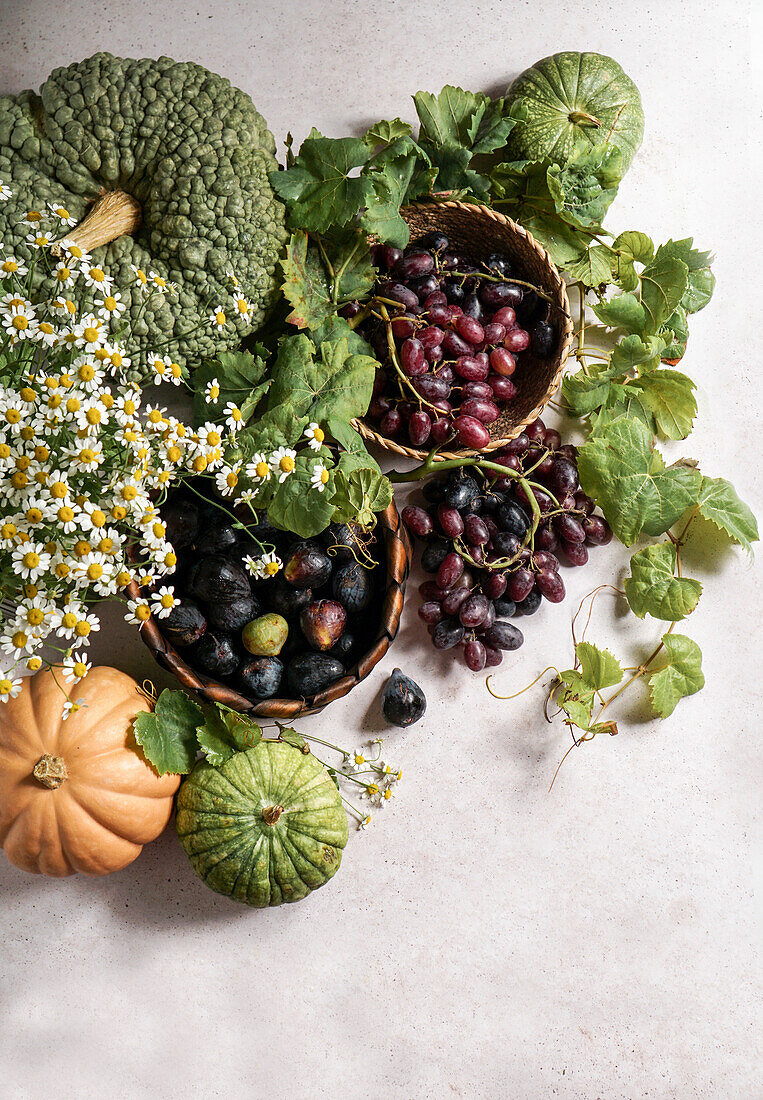 Autumn composition, grapes, figs, pumpkin, top view, concept of Halloween, Thanksgiving