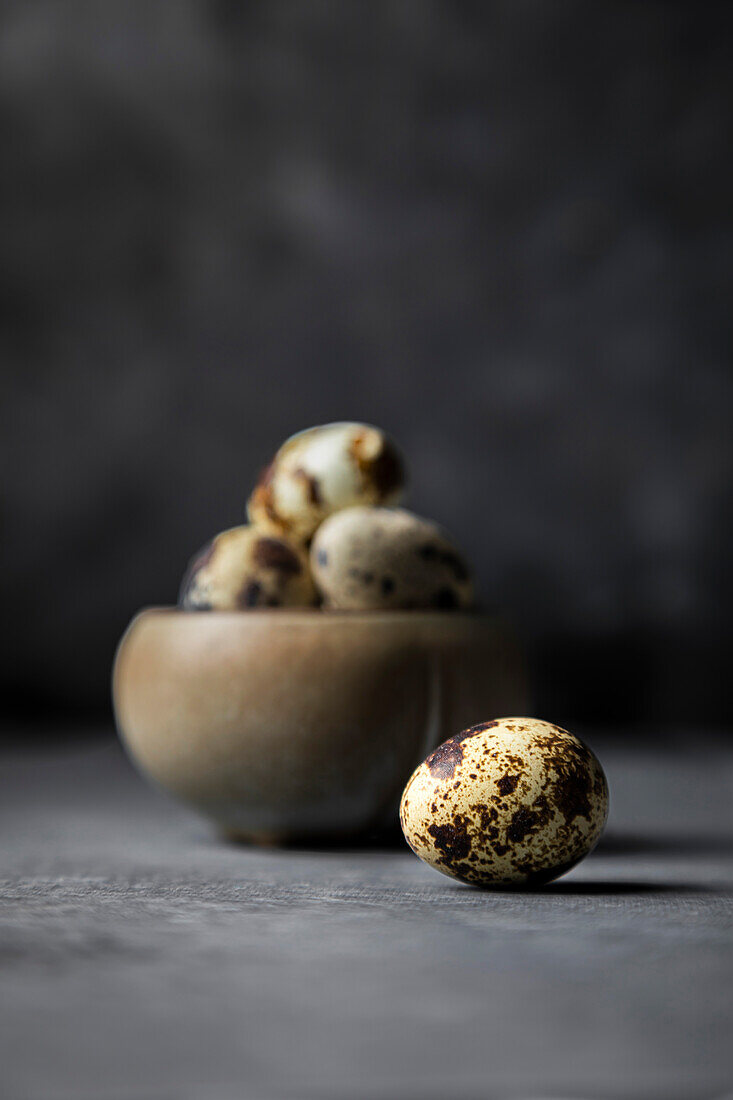 Quail eggs on a dark background