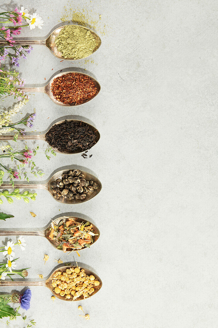 Different types of tea in vintage spoons. and Healing herbs Flat lay, top view on concrete background. Matcha, rooibos, black, green, herbal mix and camomile tea. Herbal medicine, alternative treatment, natural remedy