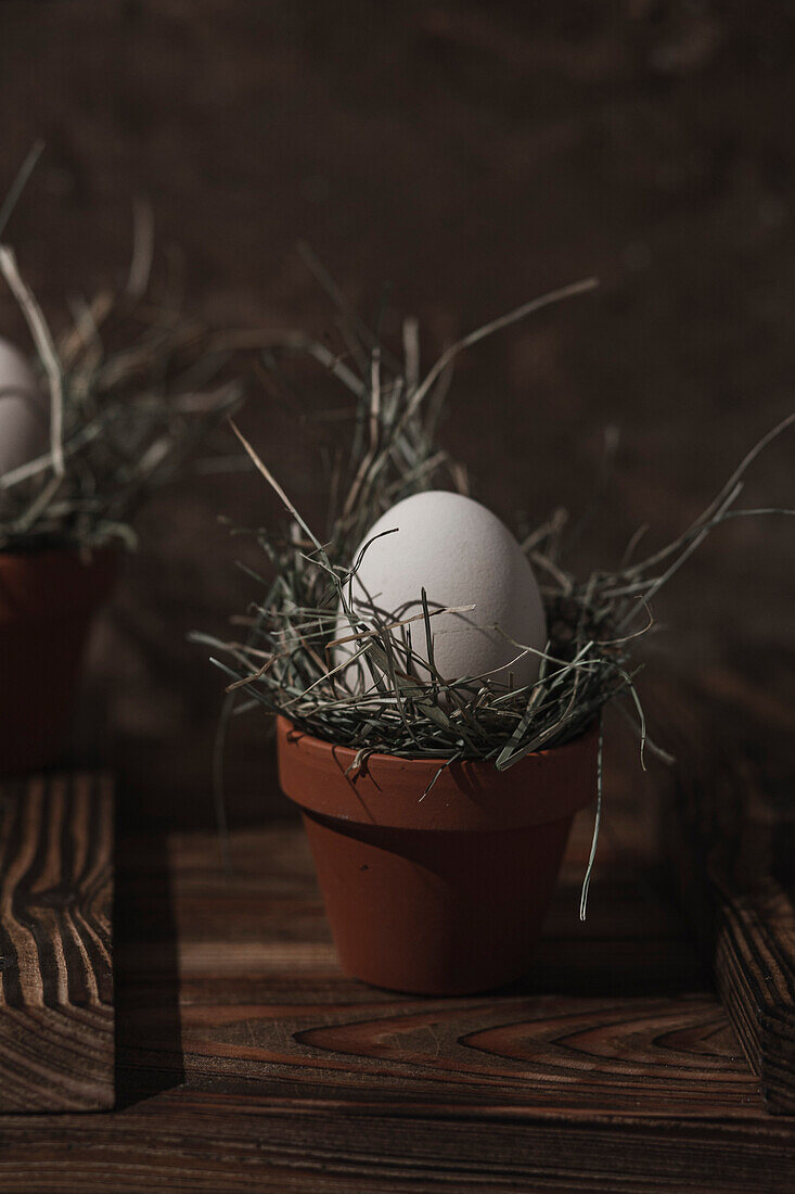 An Easter egg served in a pot with grass