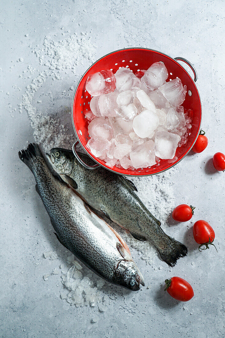 Whole fresh raw salmon or trout