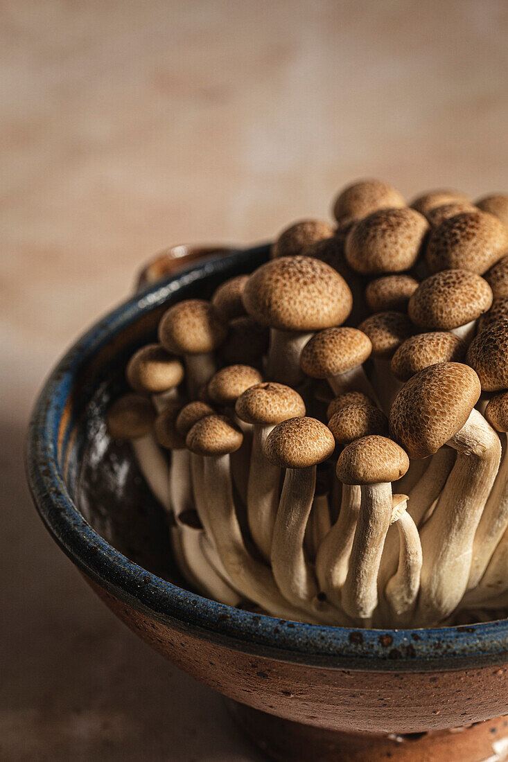 A collection of brown mushrooms