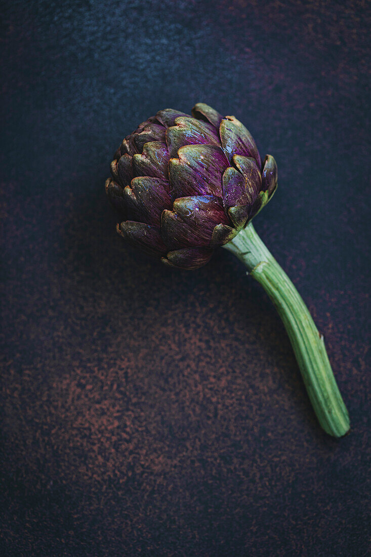 Single artichoke on a dark background