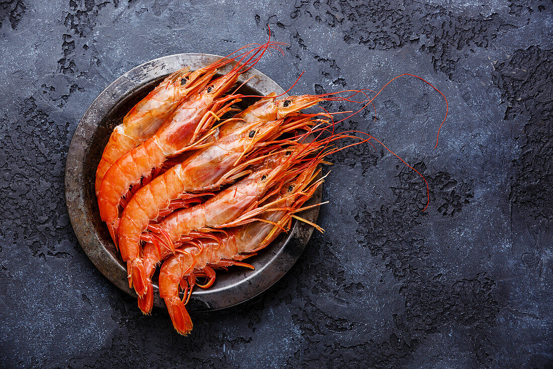 Raw fresh prawns Langostino Austral on metal plate on black background