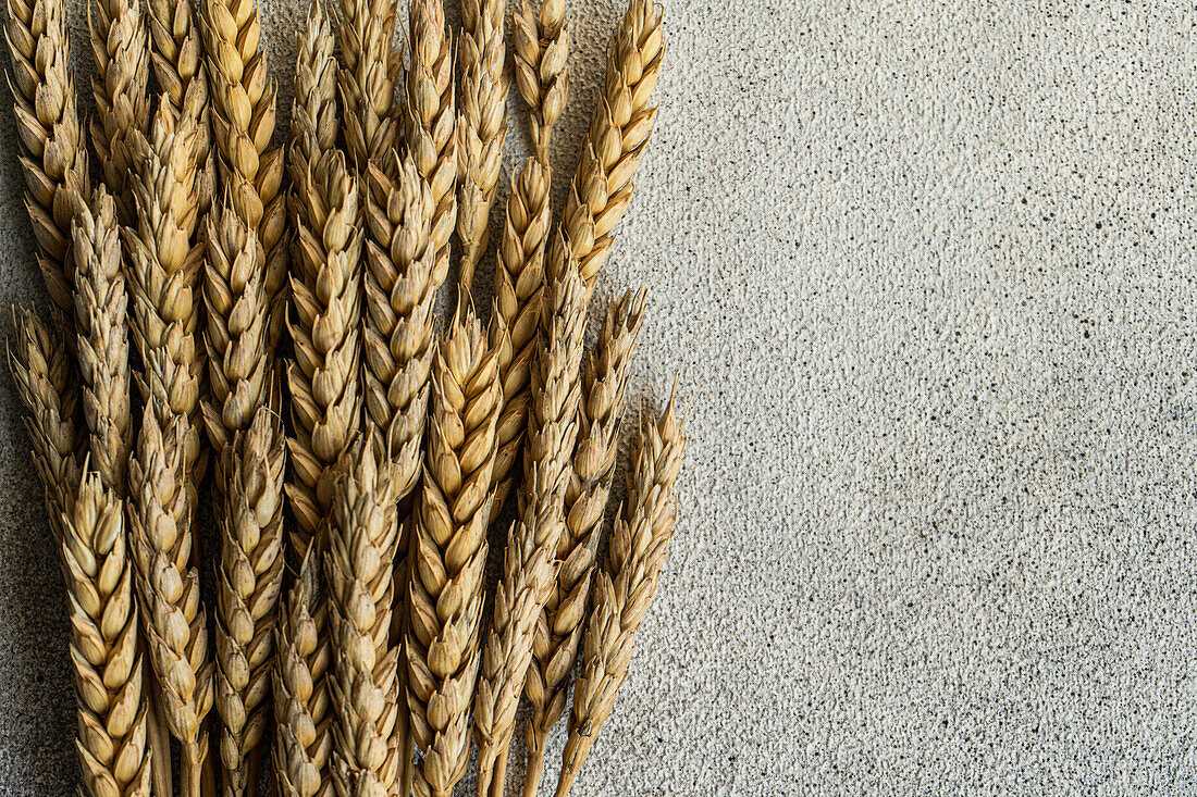 Top view of wheat ears bouquet placed on gray table