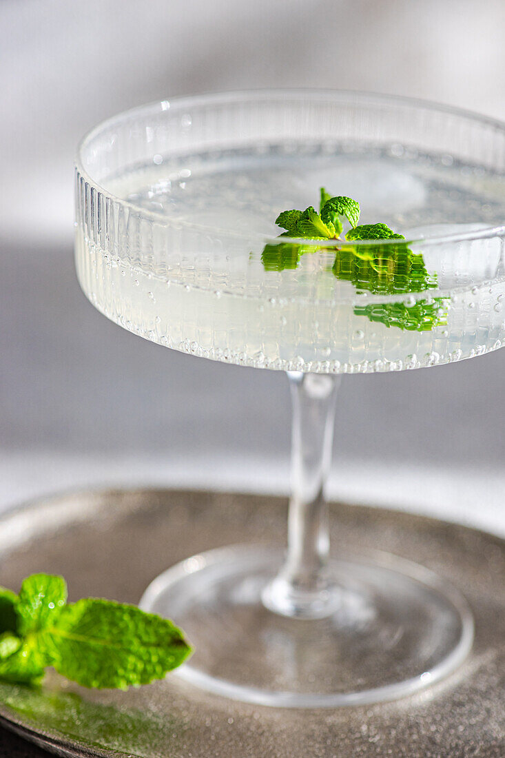 A refreshing cocktail adorned with a sprig of mint rests in a classic coupe glass, set upon a rustic tray, suggesting a sophisticated drinking experience